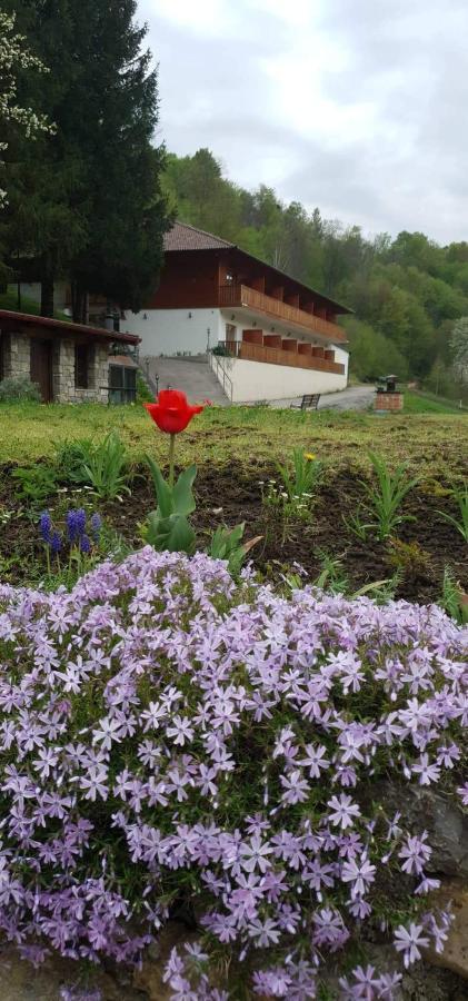 B&B Zlatna Nit Bosanska Krupa Zewnętrze zdjęcie