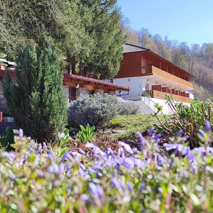 B&B Zlatna Nit Bosanska Krupa Zewnętrze zdjęcie